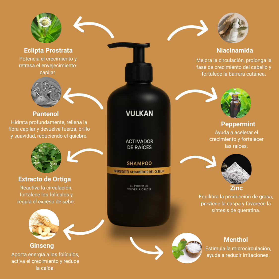 VULKAN™ | Shampoo Activador de Raices